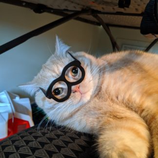 12340